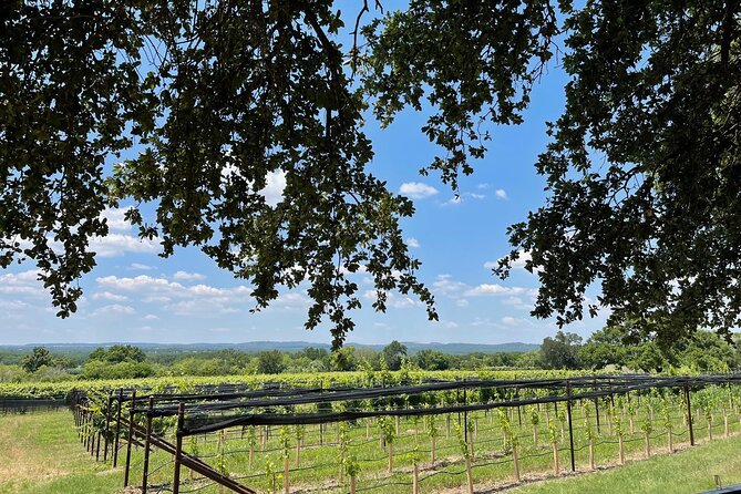 Fredericksburg Texas Area Wine Tastings: 3 Wineries and Lunch - Key Things That Make This Tour Worth Your Time