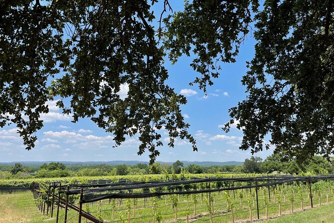 Fredericksburg Texas Area Wine Tastings: 3 Wineries and Lunch - Stop Three: Final Tastings and the Bottle-Buy Decision