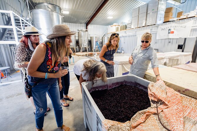 Fredericksburg Wine Trolley - Air Conditioned and Heated! - Three Winery Stops With Private Reservations