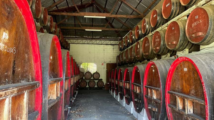 From Adelaide: Barossa to Hahndorf Wine Tasting and Lunch - Kies Family Wines lunch and tasting: where food and wine meet