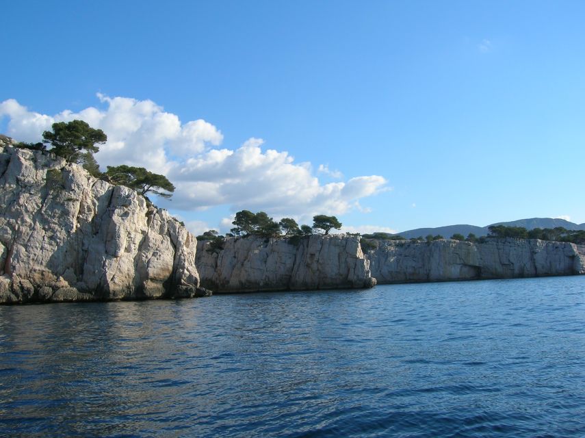 From Aix: Cassis Boat Ride & Provence Wine Tasting Day Tour - Who This Tour Fits Best (and Who It Doesn’t)