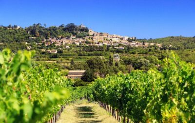 From Aix-en-Provence: Half-Day Wine Tour - Two wineries in about 3.5 hours: what you’ll actually experience