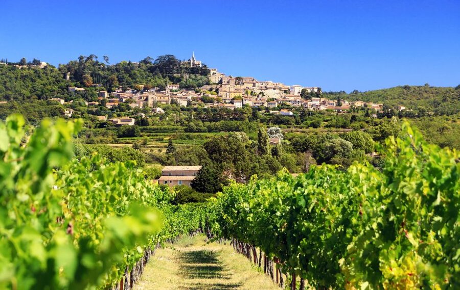 From Aix-en-Provence: Half-Day Wine Tour - Two wineries in about 3.5 hours: what you’ll actually experience