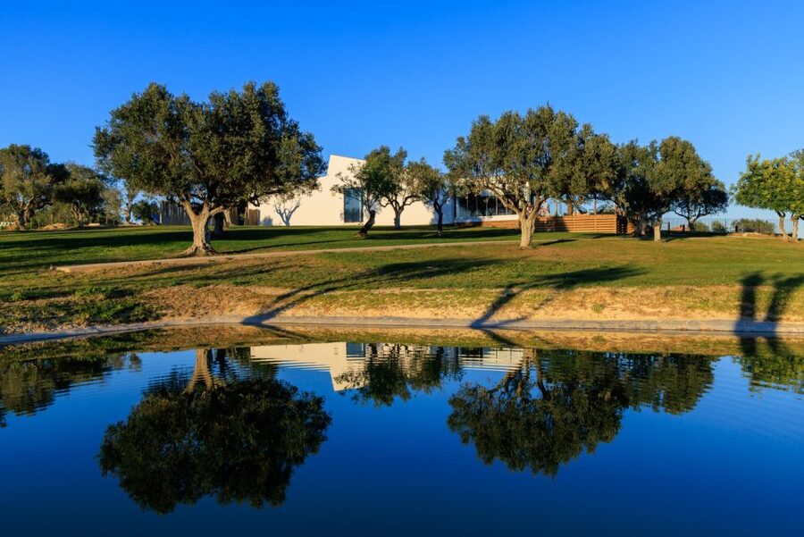 From Albufeira: 4x4 Off-Road Safari & Vineyard Wine Tasting - The winery visit: garden tour, the cork-to-wine connection, then tasting