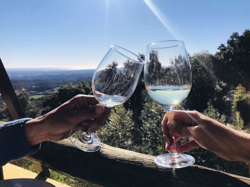 From Albufeira: Wine Tasting & Historic Silves Tour - Quick hits on this Albufeira to Silves wine tour