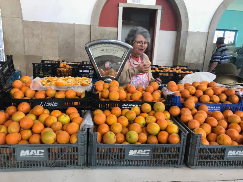 From Albufeira: Wine Tasting & Historic Silves Tour - Who this tour suits best (and who might want a different plan)