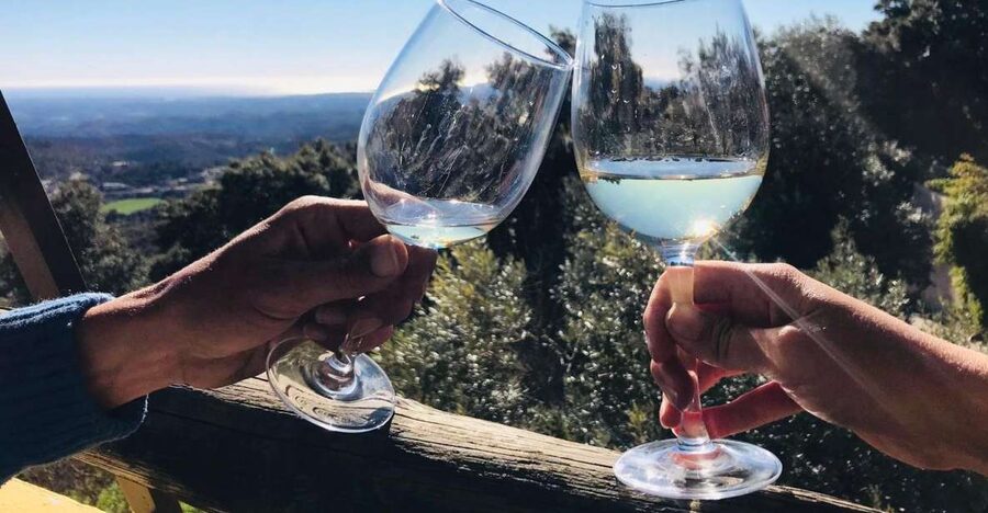 From Albufeira: Wine Tasting & Historic Silves Tour - Why Silves + wine works so well in a half day