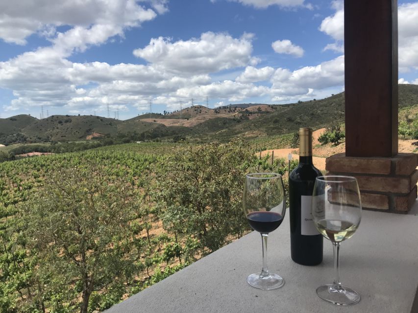 From Albufeira: Wine Tasting & Historic Silves Tour - The family winery tour: walking vines and then stepping into the cellar