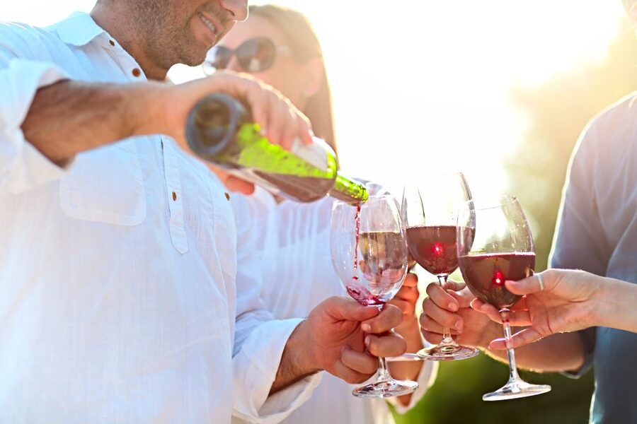 From Albufeira: Wine Tasting & Historic Silves Tour - The tasting of 3 Algarve wines with regional nibbles