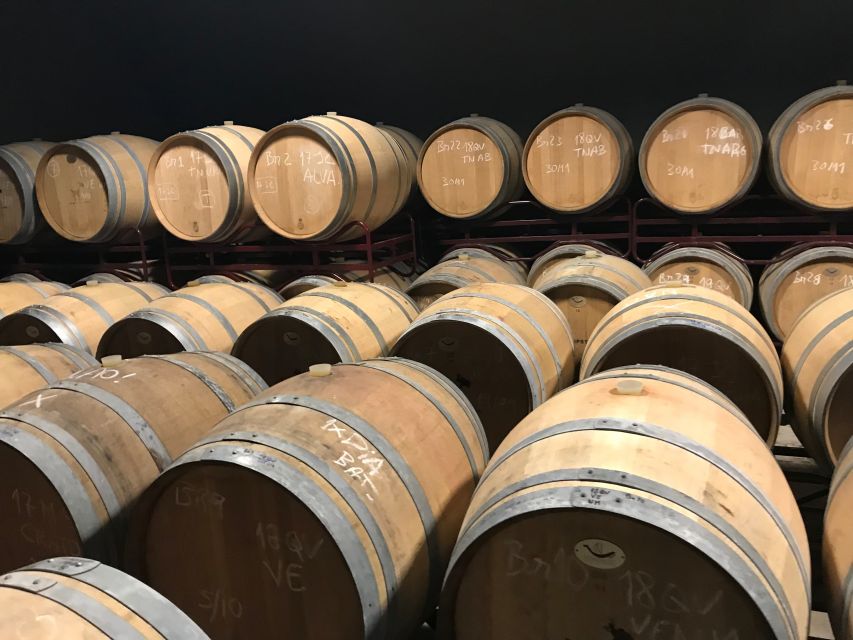 From Albufeira: Wine Tasting & Historic Silves Tour - Silves at your own pace: 30 minutes that can feel short