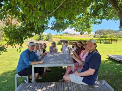 From Auckland: Waiheke Island Wine Cellar Tour - Ferry to Matiatia Wharf: how the morning actually starts