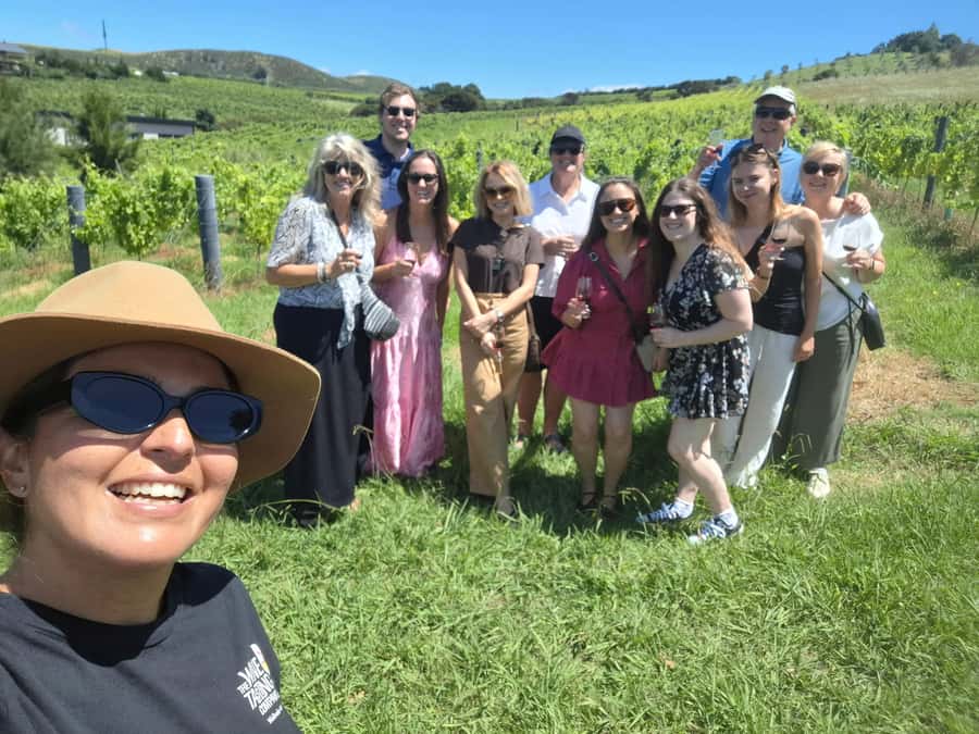 From Auckland: Waiheke Island Wine Cellar Tour - Value and price: what $122 really buys you