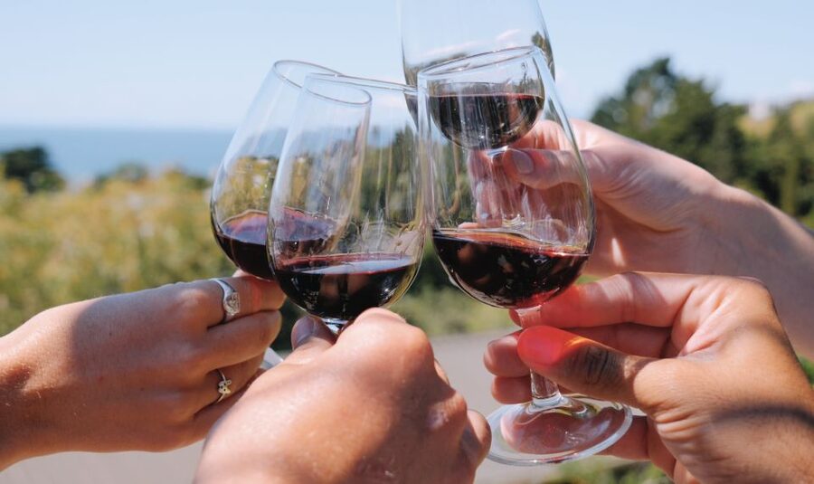 From Auckland: Waiheke Island Wine Cellar Tour - Who should skip it (and why)