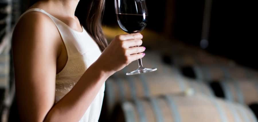 From Auckland: Waiheke Island Wineries' Tour - From Auckland to Waiheke: the ferry ride that sets the mood