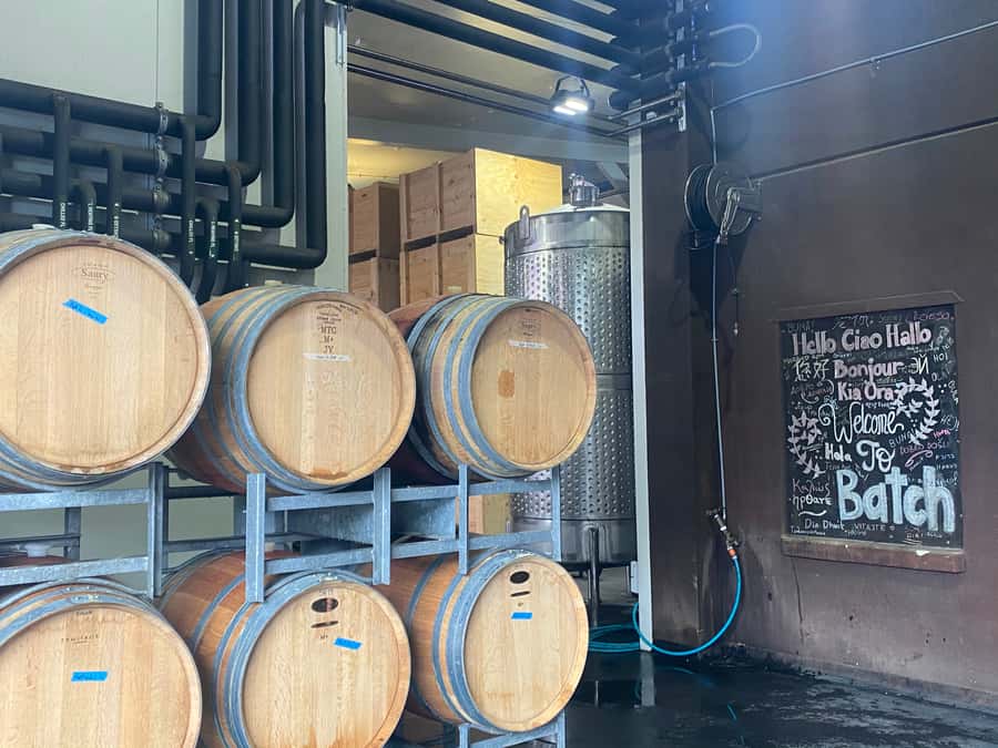 From Auckland: Waiheke Island Wineries' Tour - Should you book this Waiheke wineries tour?