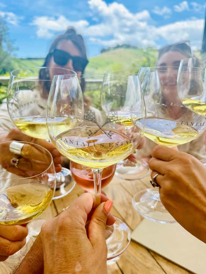 From Auckland: Waiheke Island Wineries' Tour - 4+ wine tastings and island context: what the stops are for