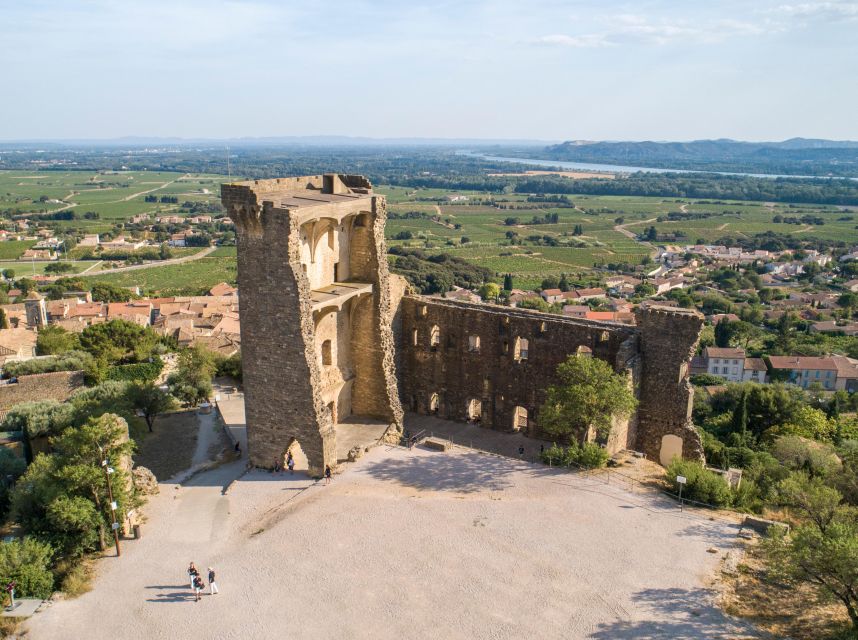 From Avignon: Châteauneuf du Pape Half-Day Wine Tour - The Pope’s summer residence ruins: the best “pause for meaning” stop