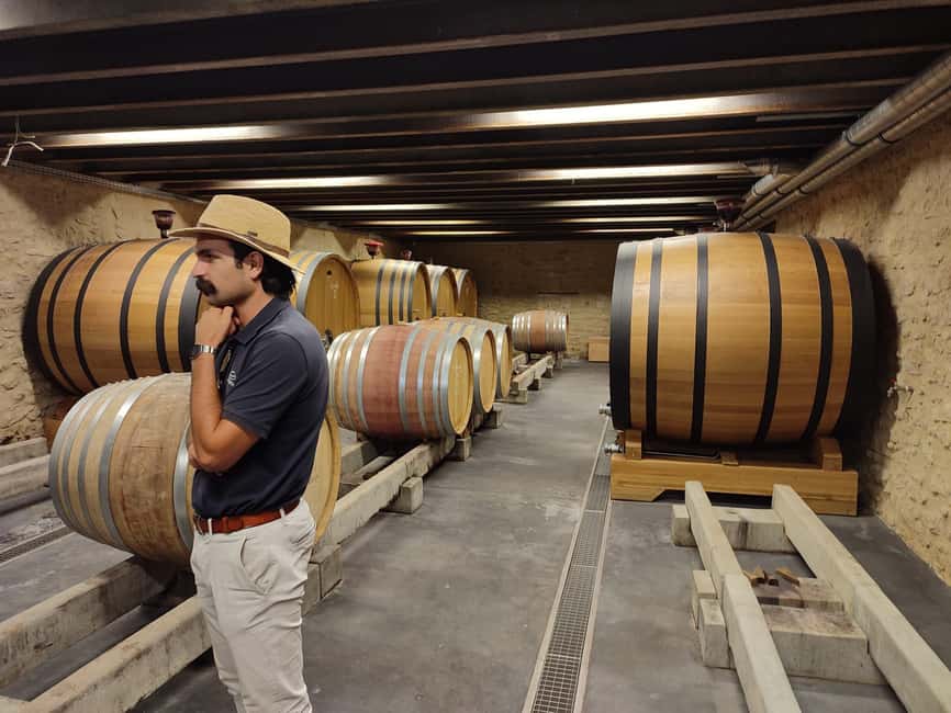 From Avignon: Châteauneuf du Pape Half-Day Wine Tour - Stop 2: A different cellar tasting to keep things from getting repetitive