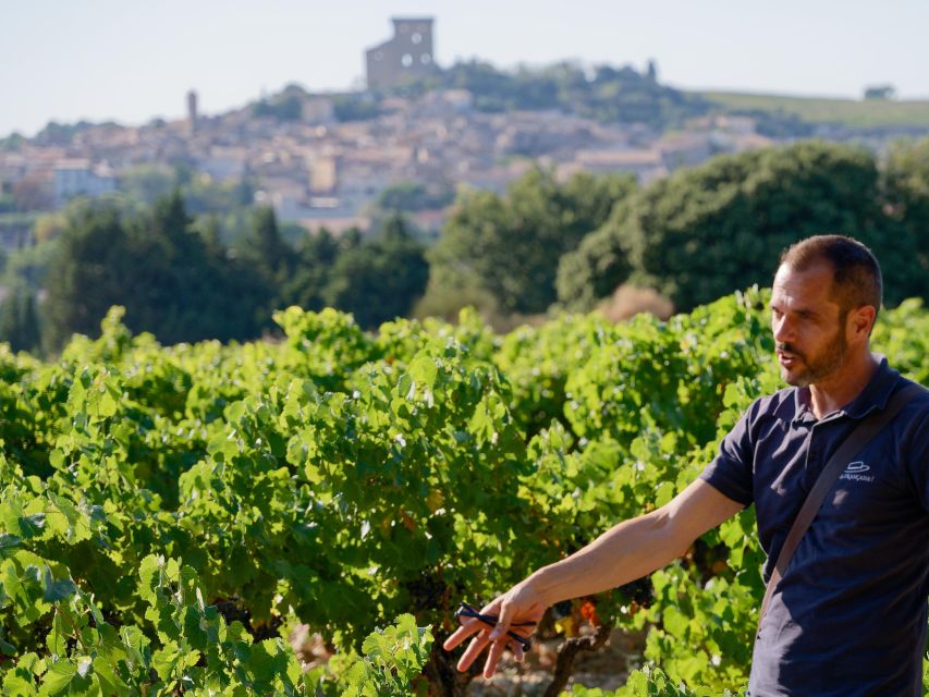 From Avignon: Châteauneuf du Pape Half-Day Wine Tour - What the two tastings should teach you (even if you buy nothing)
