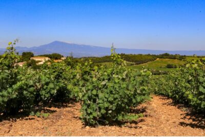 From Avignon: Half-Day Great Vineyards Tour - The Villages and Bell Towers: What You Actually See on the Drive
