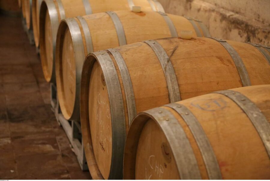 From Avignon: Half-Day Great Vineyards Tour - Inside the Tastings: How the Selection Turns Into a Story