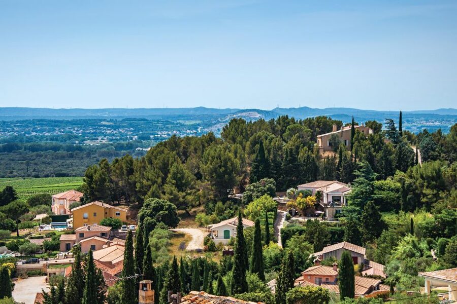 From Avignon: Half-Day Great Vineyards Tour - Should You Book This Half-Day Great Vineyards Tour?