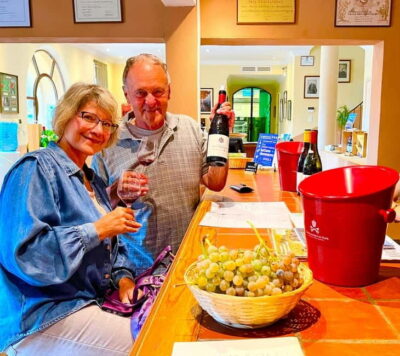 From Avignon: Wine Tour with Visit to Châteauneuf du Pape - Morning vs afternoon vs winter: when the picnic shows up and stops change