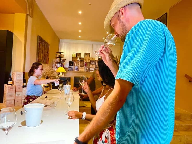 From Avignon: Wine Tour with Visit to Châteauneuf du Pape - What $93 buys you: real value in a tight half-day