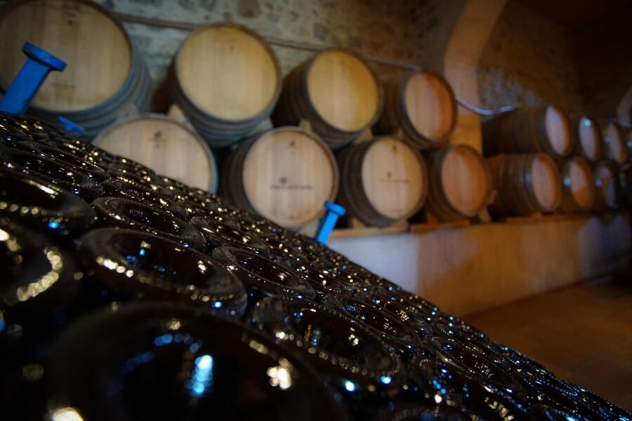 From Barcelona: E-Bike and Sailing Tour with Wine Tastings - Alella Vineyard and Cellar Time: Wine Tastings With Real Guidance