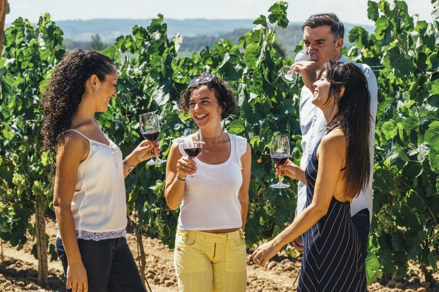 From Barcelona: Penedés Vineyards Tour by 4WD w/Wine & Cava - The 4x4 vineyard experience on an old estate