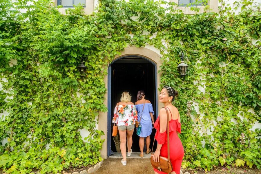 From Barcelona: Penedés Vineyards Tour by 4WD w/Wine & Cava - Food pairings: cheese and charcuterie that keep the day pleasant