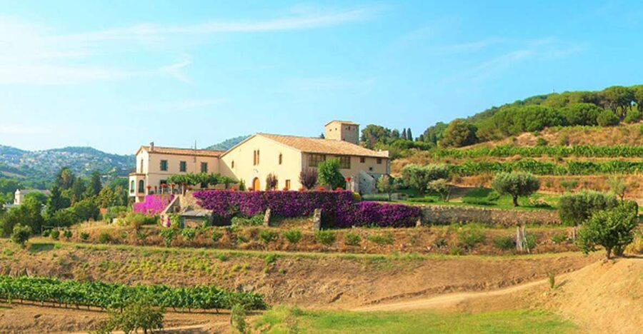 From Barcelona: Private Alella Wine Tour by Electric Bike - Key Highlights That Make This Tour Worth Your Time