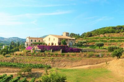 From Barcelona: Private Alella Wine Tour by Electric Bike - Leaving Barcelona: The Electric Coast Ride You’ll Actually Enjoy
