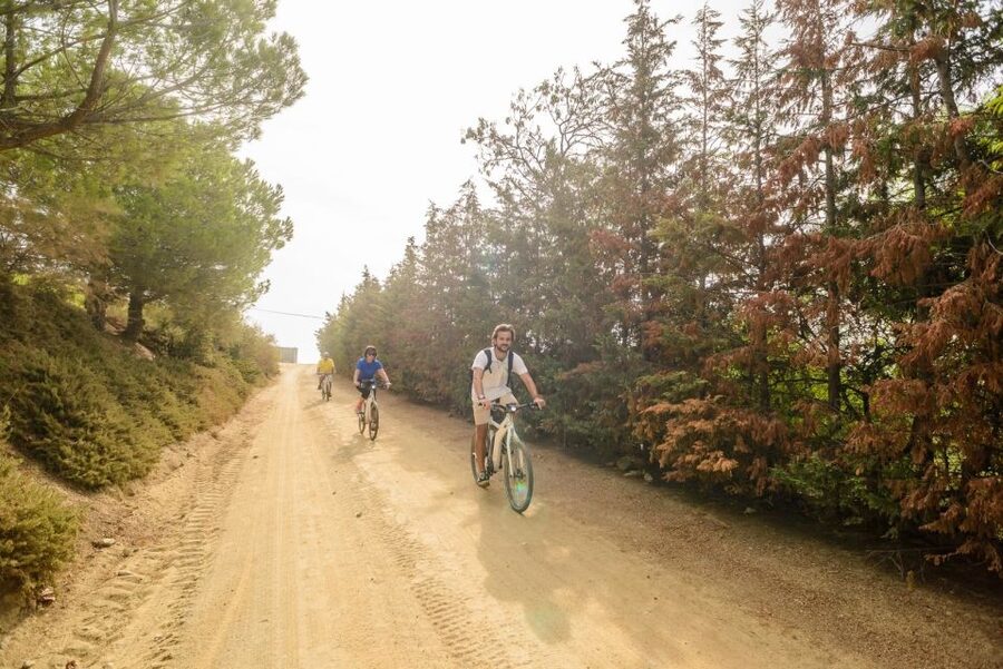 From Barcelona: Private Alella Wine Tour by Electric Bike - Arriving in Alella: Historic Vineyards and an Organic Family Winery