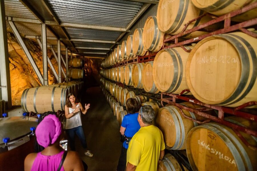 From Barcelona: Private Alella Wine Tour by Electric Bike - The Wine Tasting: Four Wines, One Guided Thread