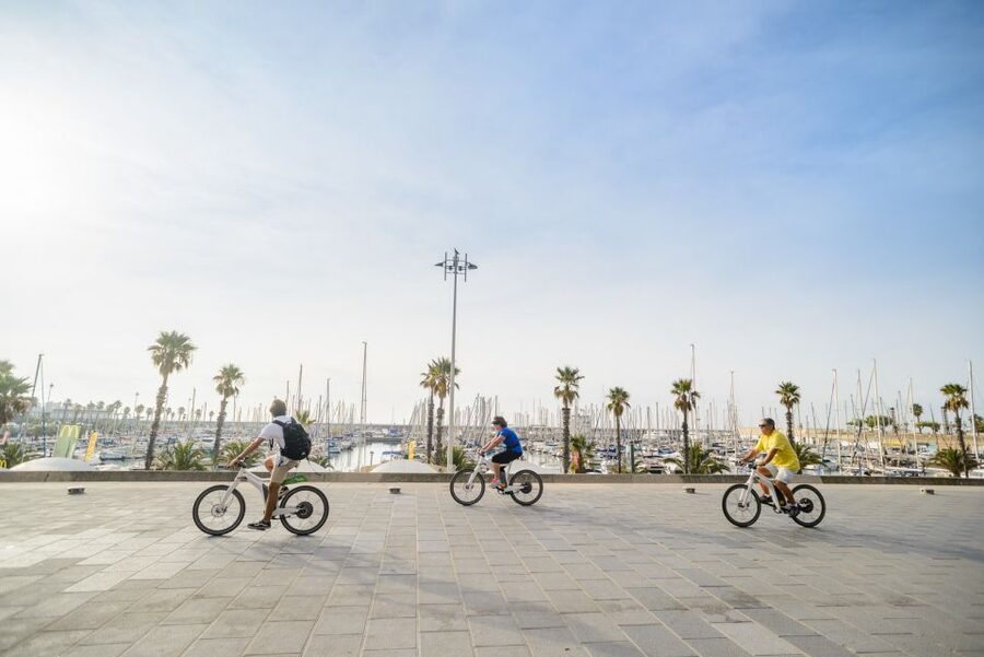 From Barcelona: Private Alella Wine Tour by Electric Bike - The Vineyard Picnic: Bread, Cheese, Fruit, and Good Views