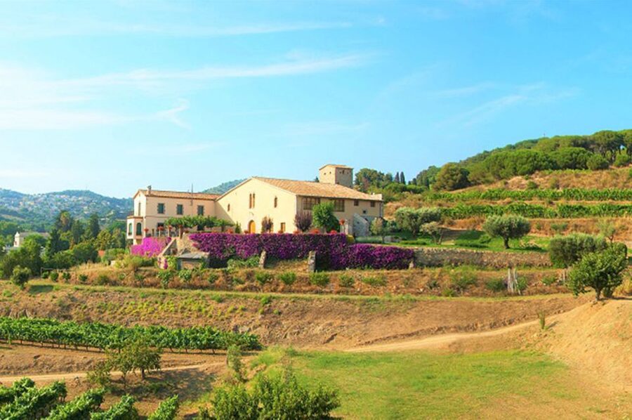 From Barcelona: Private Alella Wine Tour by Electric Bike - Leaving Barcelona: The Electric Coast Ride You’ll Actually Enjoy