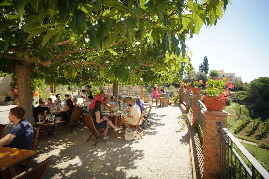 From Barcelona: Sailing and Wine Tasting Experience - El Masnou and Alella Harbor: where the views actually change