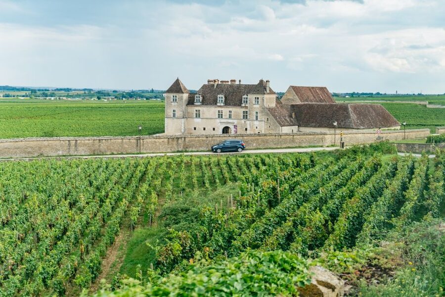 From Beaune: Burgundy Day Trip with 14 Wine Tastings - From Beaune at 9:30 to back by 5:45: how the day actually feels