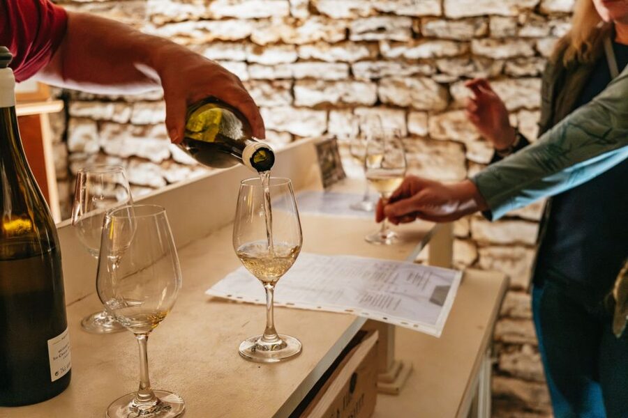 From Beaune: Burgundy Day Trip with 14 Wine Tastings - The first winery near Beaune: learning Burgundy’s labels by tasting