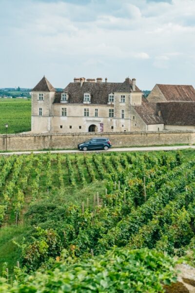 From Beaune: Burgundy Day Trip with 14 Wine Tastings - Clos de Vougeot photo stop: the 1098 story you’ll see in the vineyards
