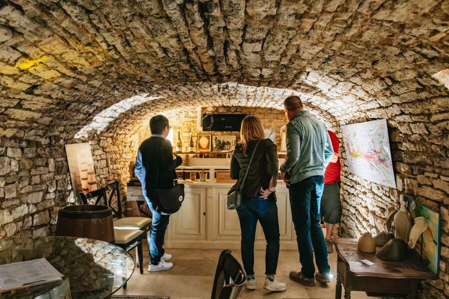 From Beaune: Burgundy Day Trip with 14 Wine Tastings - Nuits-Saint-Georges and the winemaker time: Pinot Noir with context