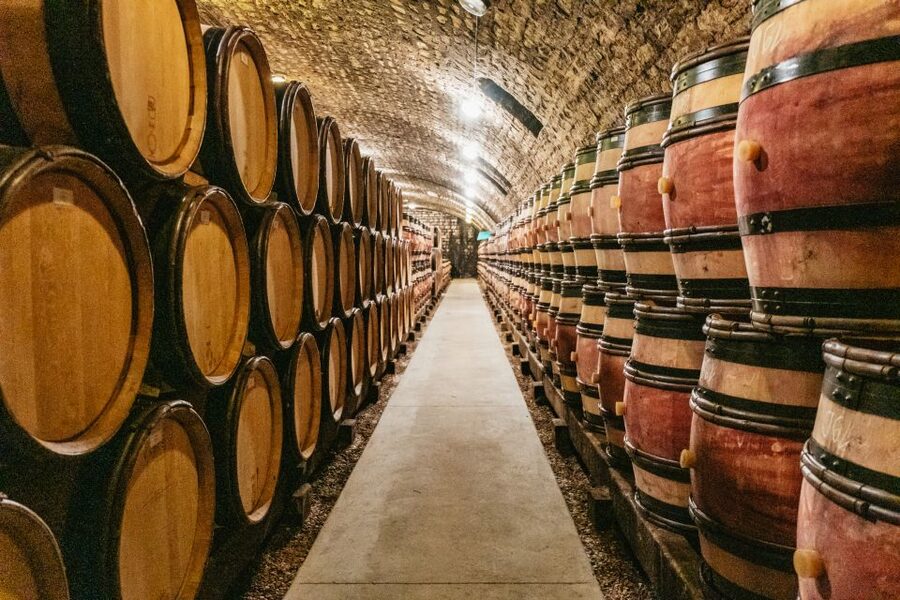 From Beaune: Burgundy Day Trip with 14 Wine Tastings - Chambolle-Musigny wine shop tasting: compare, then decide what to buy
