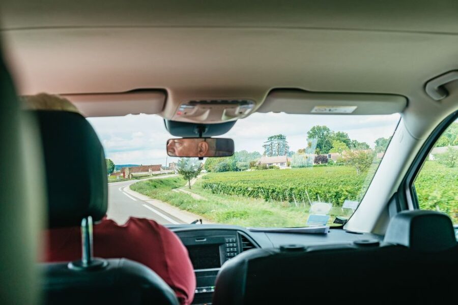 From Beaune: Burgundy Day Trip with 14 Wine Tastings - Value check: what $294 covers (and what it doesn’t)