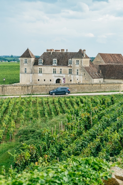 From Beaune: Burgundy Day Trip with 14 Wine Tastings - Clos de Vougeot photo stop: the 1098 story you’ll see in the vineyards