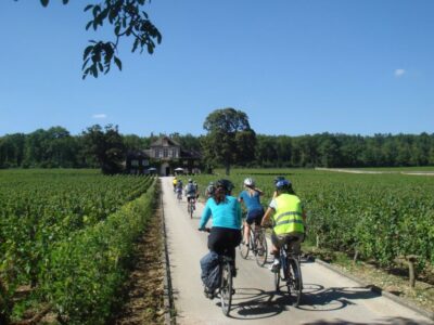 From Beaune: Full-Day Bicycle and Wine Tour in Burgundy - Getting set up in Beaune: van transfer, helmets, and guide energy