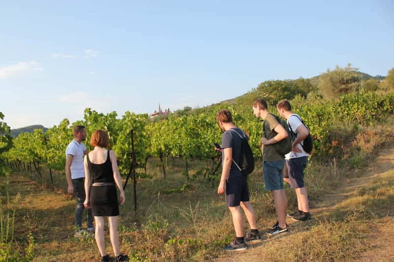 From Berat: Guided Winery Tour with Transfers and Tastings - Key things I’d pencil into your day
