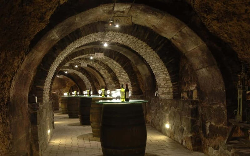 From Bilbao: La Rioja Wineries Day Trip with Wine Tastings - Rioja by bus from Bilbao: what you’re really buying