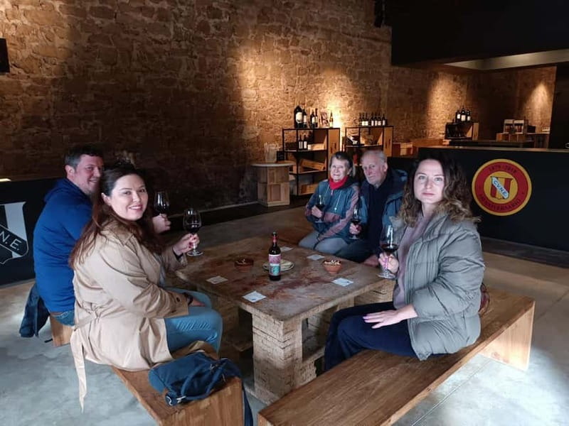 From Bilbao: La Rioja Wineries Day Trip with Wine Tastings - Elciego and Marqués de Riscal: modern architecture on the return trip
