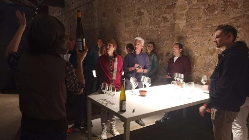 From Bilbao: La Rioja Wineries Day Trip with Wine Tastings - Who this tour suits best (and who should choose another plan)